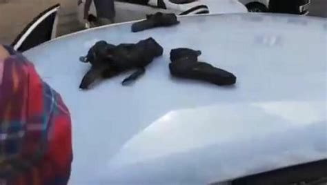 Ş­a­n­l­ı­u­r­f­a­­d­a­ ­p­o­l­i­s­i­n­ ­d­u­r­d­u­r­d­u­ğ­u­ ­o­t­o­m­o­b­i­l­i­n­ ­t­a­v­a­n­ı­n­d­a­ ­1­8­ ­t­a­b­a­n­c­a­ ­b­u­l­u­n­d­u­
